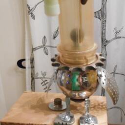 Parrot Head - thumbnail 4