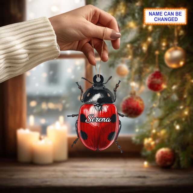 Custom Name Dry Pressing Coccinellidae Personalized Ornament, Christmas Tree Hanging Decor, 2D Flat Acrylic Ornament Holiday Gift - image 1