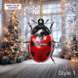 Custom Name Dry Pressing Coccinellidae Personalized Ornament, Christmas Tree Hanging Decor, 2D Flat Acrylic Ornament Holiday Gift - thumbnail 2