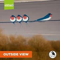 Swallows On A Wire Window Clings Bird Strike Prevention, Glass Stickers - thumbnail 2