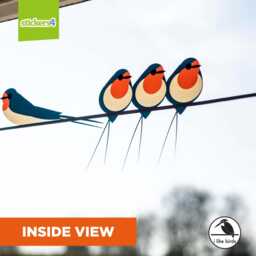 Swallows On A Wire Window Clings Bird Strike Prevention, Glass Stickers - thumbnail 3