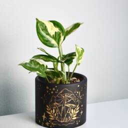 Hand-Painted Gold Sparkle Mushroom Planter Concrete Succulent Pot - thumbnail 3