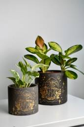 Hand-Painted Gold Sparkle Mushroom Planter Concrete Succulent Pot