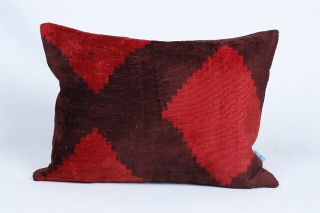 Ikat Velvet Pillow, Silk Cousin From Uzbekistan Cotton Back With Zip Closure, Dry Cleaning, Decorative Pillow - image 1