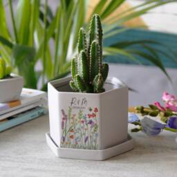 Anniversary Hexagon Plant Pot - Personalised Couples New Home Gift Cacti Succulent Lover - thumbnail 4