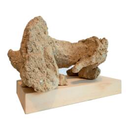 Horse - Original Clay Sculpture By Rossitza Trendafilova