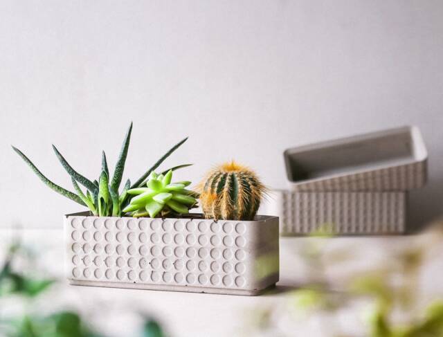 Doted Concrete Planter Box - Minimalist Pot Succulent Plant Rectangular Plant Lovers Gift Idea Polka Dot - image 1