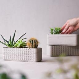 Doted Concrete Planter Box - Minimalist Pot Succulent Plant Rectangular Plant Lovers Gift Idea Polka Dot - thumbnail 2
