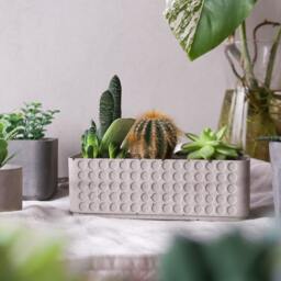 Doted Concrete Planter Box - Minimalist Pot Succulent Plant Rectangular Plant Lovers Gift Idea Polka Dot - thumbnail 4