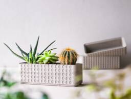 Doted Concrete Planter Box - Minimalist Pot Succulent Plant Rectangular Plant Lovers Gift Idea Polka Dot - thumbnail 1