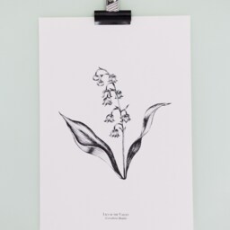 Lily Of The Valley, Black & White Illustration, Botanical Art Print - thumbnail 3