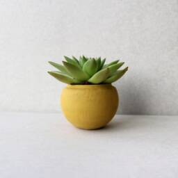 Terracotta Yellow Concrete Planter - Handmade Minimalist Sphere Pot - thumbnail 3