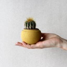 Terracotta Yellow Concrete Planter - Handmade Minimalist Sphere Pot - thumbnail 2