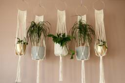 Macrame Plant Hanger/Heart Shape Love Happiness Houseplant Holder Hanging Plants - thumbnail 1