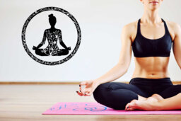 Lotus Mandala Yoga Pose Wall Decal Removable Vinyl Decor T634 - thumbnail 1