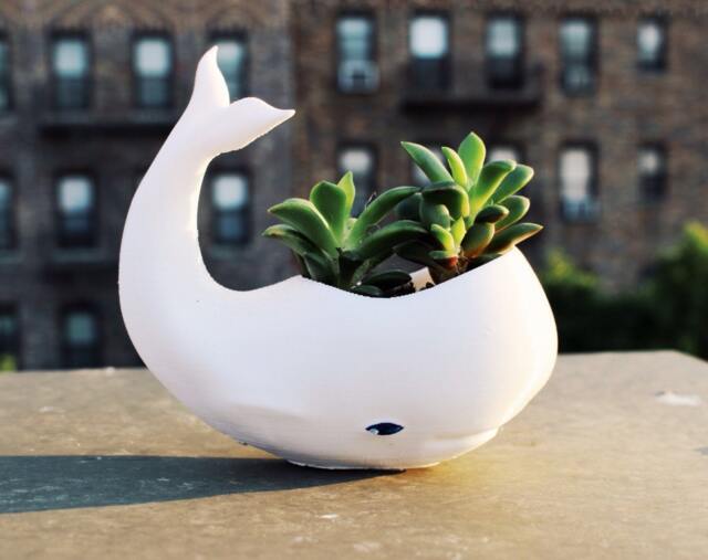 Whale Planter, Whale Decor, Planter Pot, Air Plant Holder, Dad, Whale, Birthday Gift, Animal - image 1
