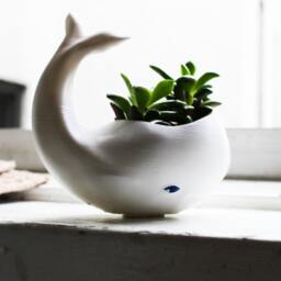 Whale Planter, Whale Decor, Planter Pot, Air Plant Holder, Dad, Whale, Birthday Gift, Animal - thumbnail 3
