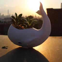 Whale Planter, Whale Decor, Planter Pot, Air Plant Holder, Dad, Whale, Birthday Gift, Animal - thumbnail 2
