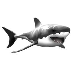 Cartoon Shark Wall Decal - Cute Nursery Decor, Ocean Theme Sticker For Kids Room, Baby Bathroom Vwaq-Na01 - thumbnail 2