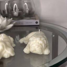 Dog Candle - Dachshund Bulldog Soy Wax Homeware Home Accessories Fashion New Pet Gift Quirky Candles - thumbnail 2