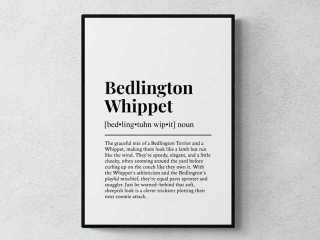Bedlington Whippet Funny Definition Dog Wall Art Print - image 1