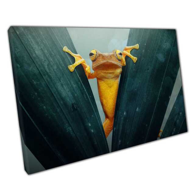 Vibrant Yellow Tree Frog Macro Photography Canvas Print Nature-Inspired Wall Art For Home & Office - image 1