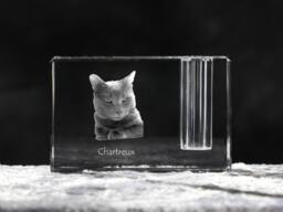 Chartreux , Crystal Pen Holder With Cat, Souvenir, Decoration, Limited Edition, Collection - thumbnail 1