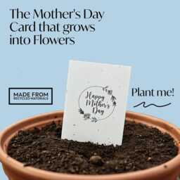Mother's Day Gardening Gift Set - Grow Your Own Herbs Kit + Seeded Greeting Card - thumbnail 3