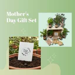 Mother's Day Gardening Gift Set - Grow Your Own Herbs Kit + Seeded Greeting Card - thumbnail 1