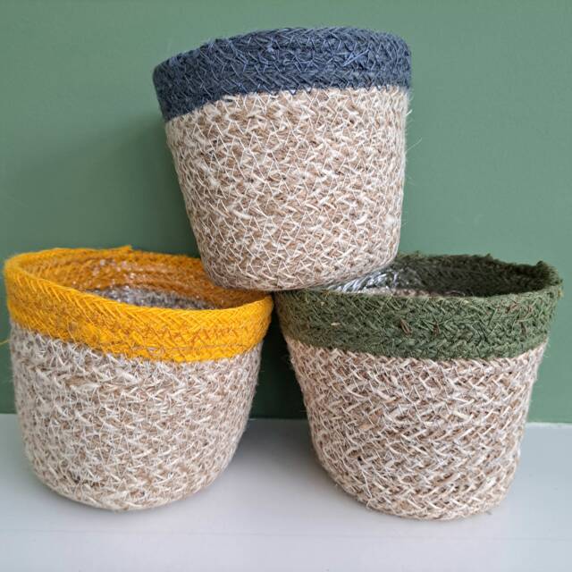 Basket Plant Pot in Natural With Green, Blue Or Yellow Trim - image 1
