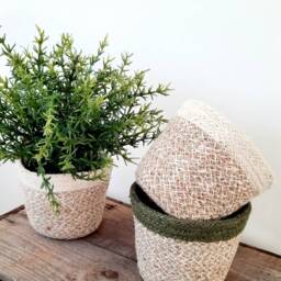 Basket Plant Pot in Natural With Green, Blue Or Yellow Trim - thumbnail 2