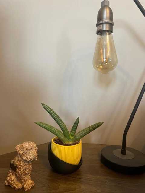 Small Modern Ribbed 3D Printed Planter Matte Minimalist Decor - image 1