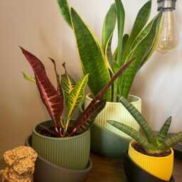 Small Modern Ribbed 3D Printed Planter Matte Minimalist Decor - thumbnail 4