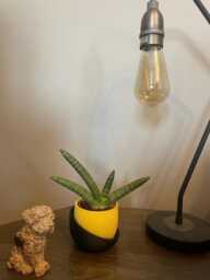 Small Modern Ribbed 3D Printed Planter Matte Minimalist Decor - thumbnail 1