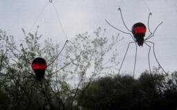 Twin Red Sun Catcher Window Spiders Hanging Art, Made To Order - thumbnail 1
