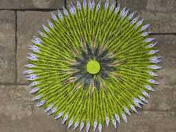 Huge Flower Wall Hanging Round Decoration Chartreuse Home Decor Living Room Bedroom Bathroom - thumbnail 1