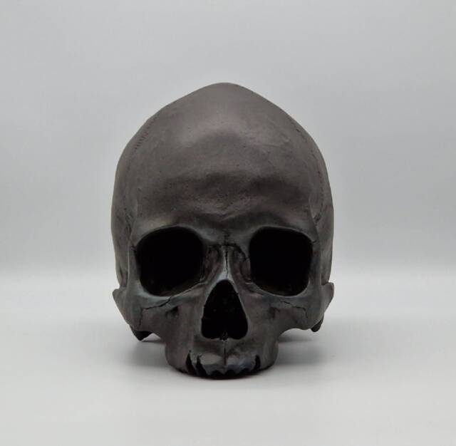 Black Toothless Human Skull Replica . Realistic Plaster Of Paris Life Size Human Replica - image 1