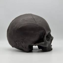 Black Toothless Human Skull Replica . Realistic Plaster Of Paris Life Size Human Replica - thumbnail 4