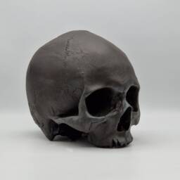 Black Toothless Human Skull Replica . Realistic Plaster Of Paris Life Size Human Replica - thumbnail 2
