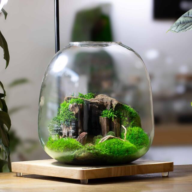Terrarium Cave - Preserved Moss - Handblown Glass Mossarium Centerpiece Mindful Desk Decor & Unique Eco Gift For Home Or Office - image 1