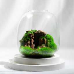 Terrarium Cave - Preserved Moss - Handblown Glass Mossarium Centerpiece Mindful Desk Decor & Unique Eco Gift For Home Or Office - thumbnail 4