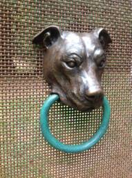 Pit Bull - thumbnail 1