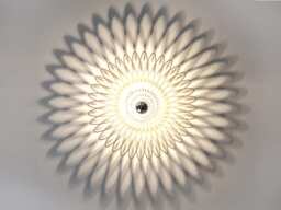 Walllamp , Ceiling Lamp, Spiral Ornament, Shadow - thumbnail 1