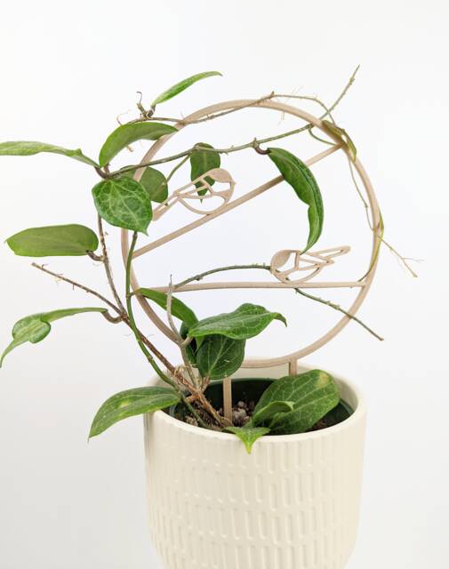 Chickadee Trellis - Wood Plant Houseplant Stake Hoya Support - image 1