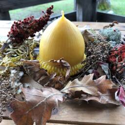 Large Beeswax Acorn Candle Natural Farmhouse Cabin Decor - thumbnail 4