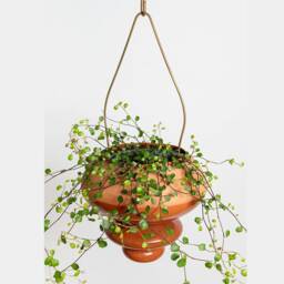Terracotta Hanging Planter, Ceramic Plant Pot For Live House Plants - Us Shipping Includes All Taxes - thumbnail 3