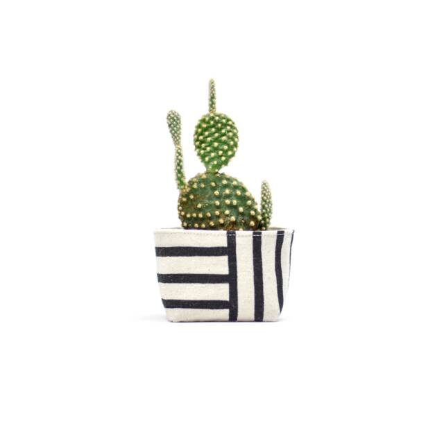 Canvas Planter, Two Way Black Stripe For Succulents & Cacti, Mini White Blockprint On Bucket - image 1