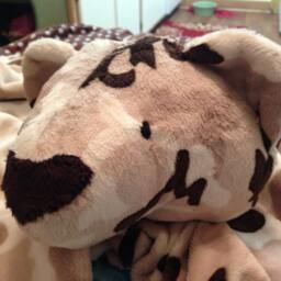 Animal Security Blanket Toy, Plush Snuggle Buddy - thumbnail 2