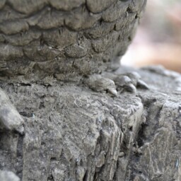 Bernie - The Barn Owl Handmade Stone Garden Ornament - thumbnail 3
