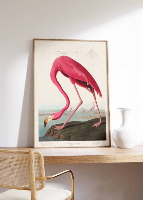 Antique Pink Flamingo Print, John James Audobon Poster, Retro Home Decor, Wildlife Wall Art, Giclee Museum Nursery Illustration - image 1